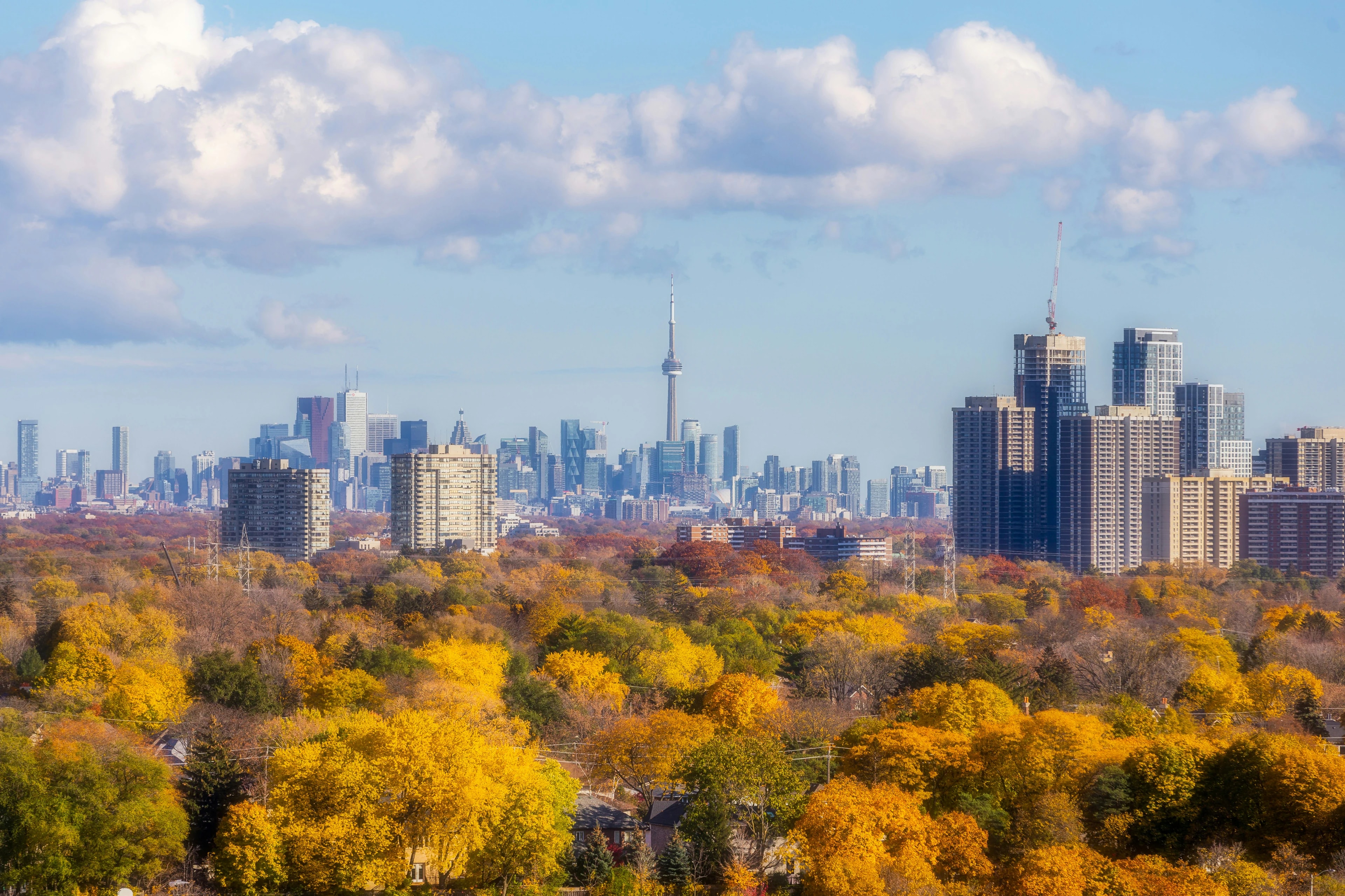 Toronto skyline and the CN Tower above autumn trees